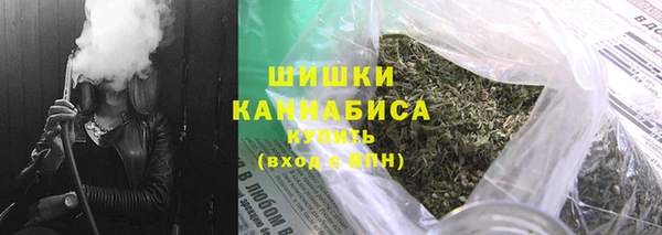 Альфа ПВП Белокуриха