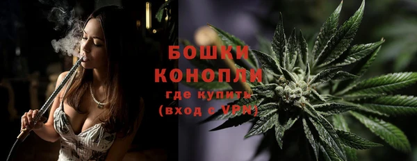 Альфа ПВП Белокуриха