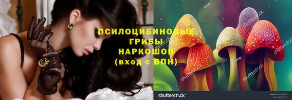 крисы Беломорск