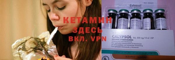 индика Белоозёрский