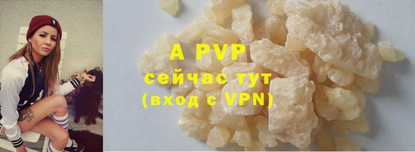 индика Белоозёрский