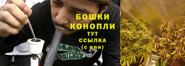 крисы Беломорск
