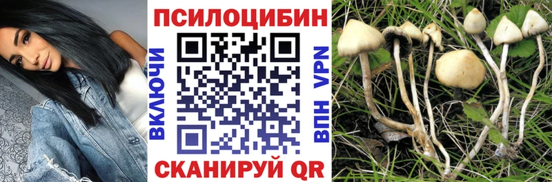 Галлюциногенные грибы ЛСД  kraken зеркало  Бородино 